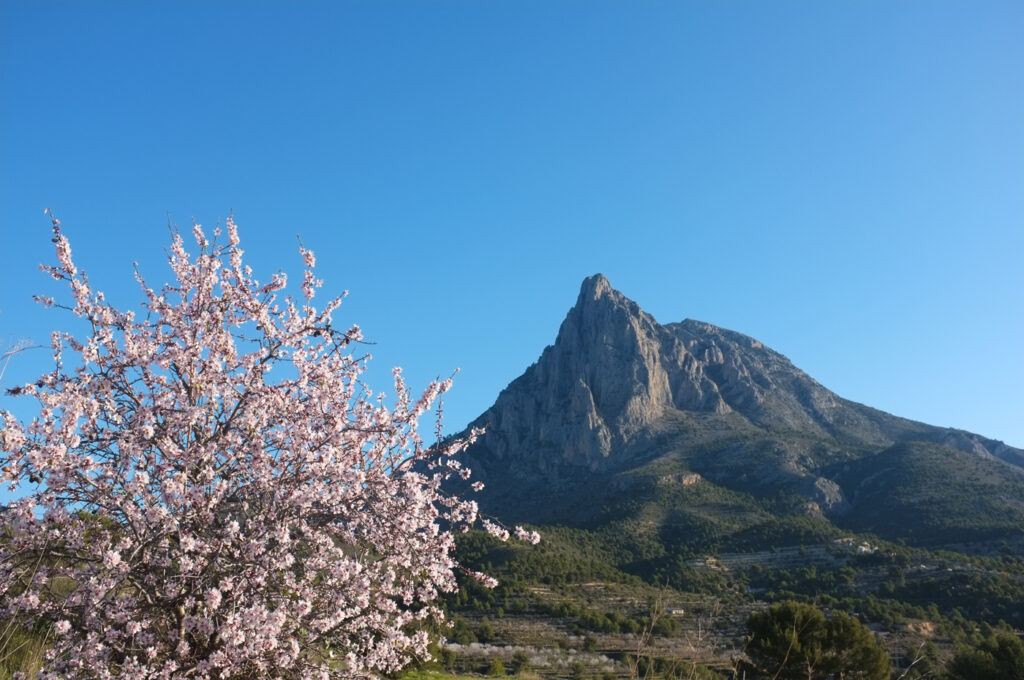 Vistas al Puig Campana.